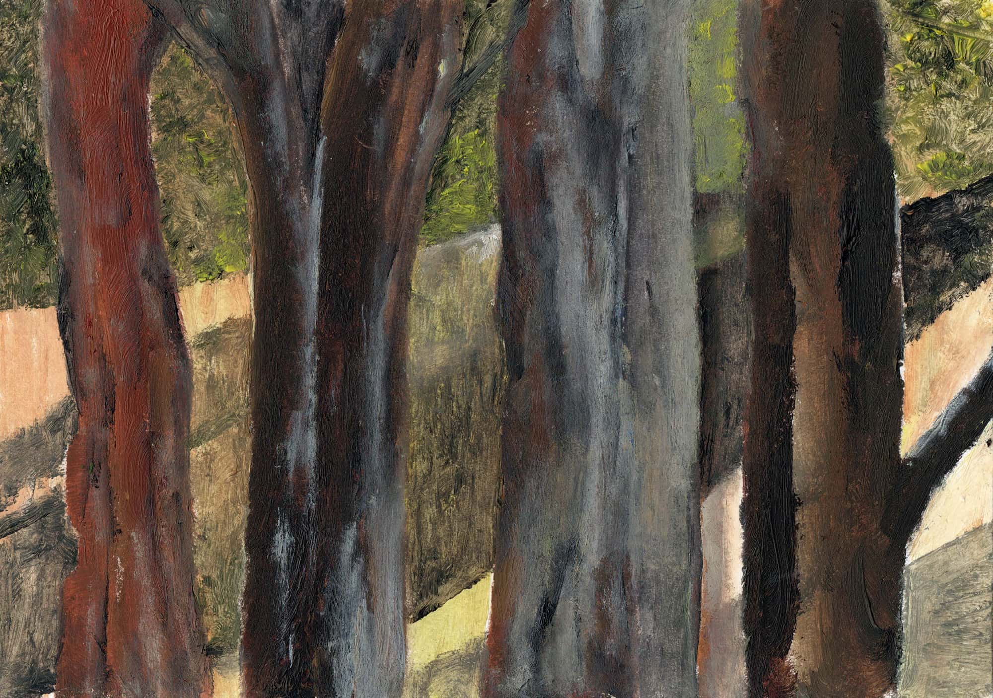 Baumschatten