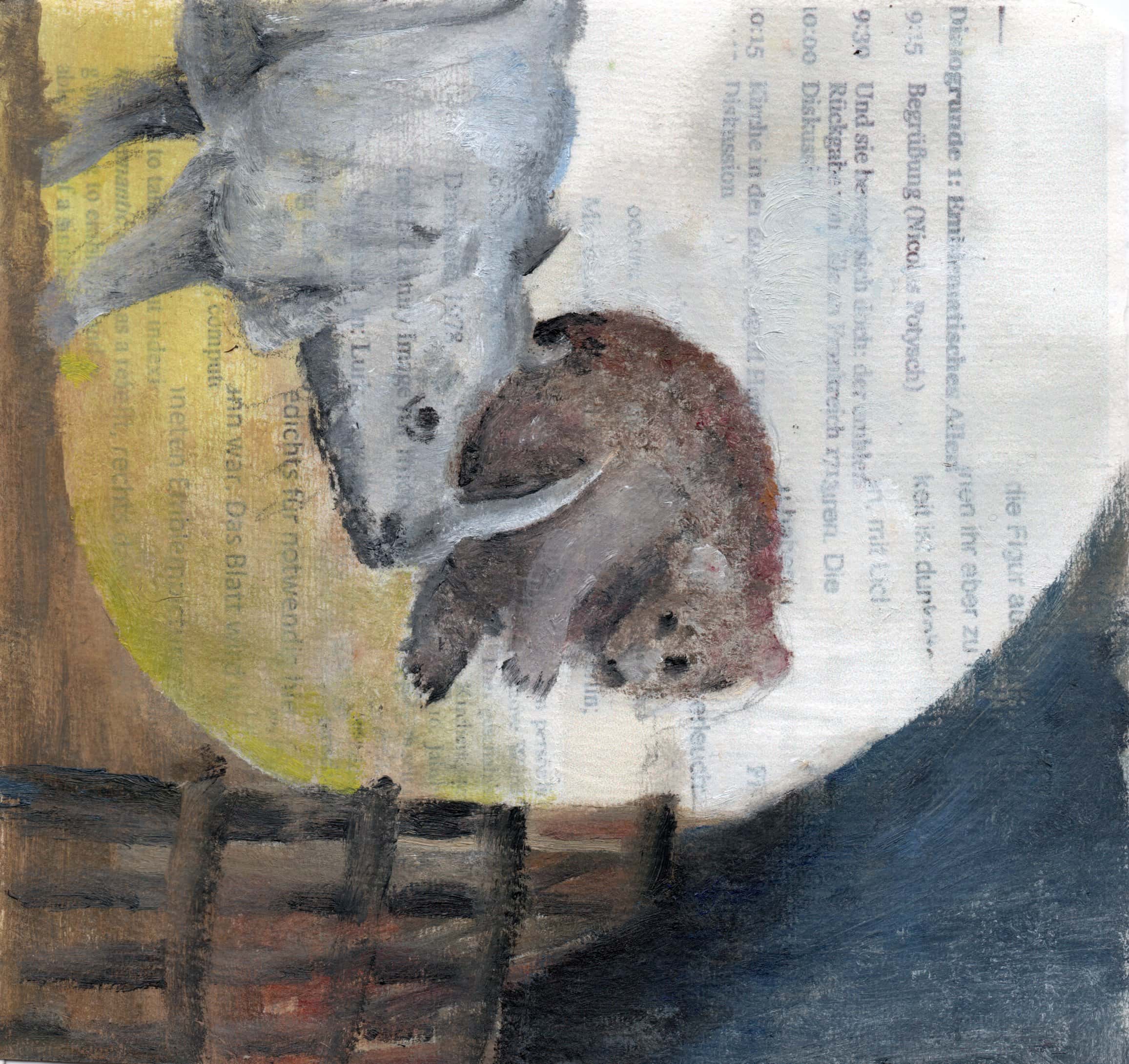 Rhinozeros und Bär